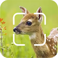 TrailCam Go安卓版手机版