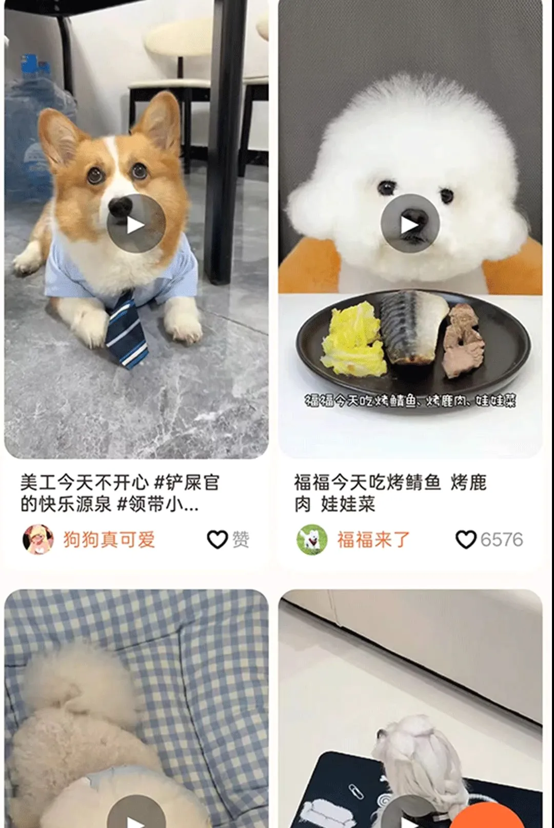 С���APP(������������)v1.1.7 ��׿���ͼ1