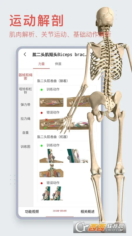 3dbody�������appv8.8.91 �ٷ������ͼ0
