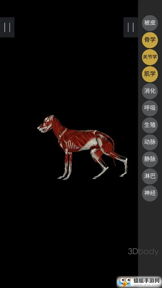 3dbody�������appv8.8.91 �ٷ������ͼ2