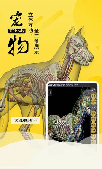3dbody��������v8.8.91 �ֻ����ͼ3