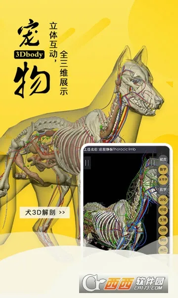 3dbody宠物版免费 3dbody宠物版免费