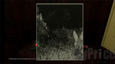 ����۲�Ա�ֲ���Ϸ