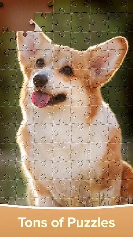 ƴͼ��Ϸ�󴳹�2026�ٷ����°汾v4.4.16 �ֻ����ͼ1