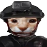 ��ŭ���ھӣ�����2������ư�(����ھ���Ϸ)