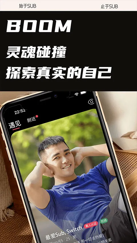 SUB(���Ļ�����ƽ̨)v1.0.1 �ٷ������ͼ1