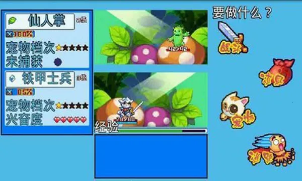 ��������5�ʺ�2026���°汾