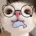 �����Pro��׿��ƻ�����ⰲ׿���ֻ���