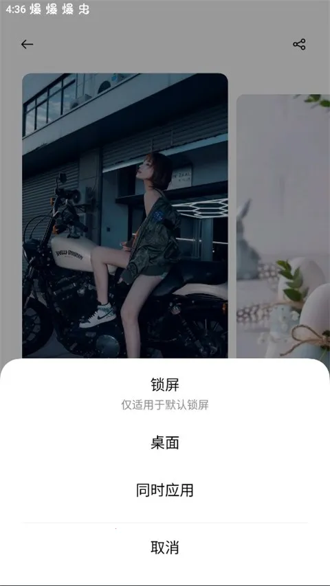 Theme Store(�ֻ���������)