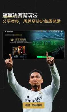 FC��������������ع��2026���°汾v31.0.04 ��Ѱ��ͼ0