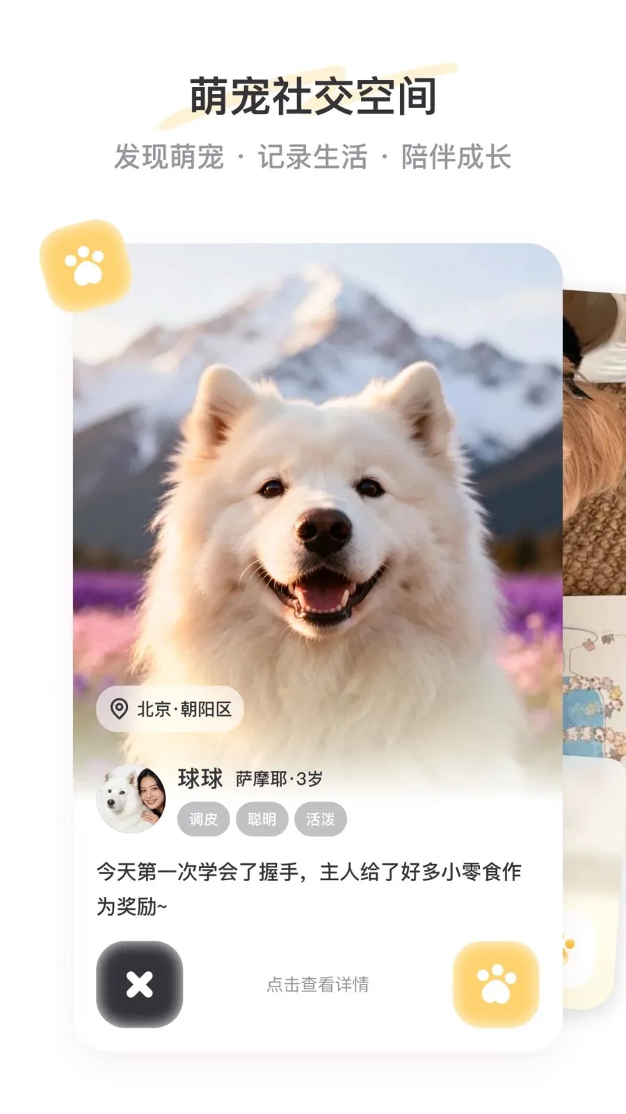 PetSpace�����ֻ���v1.0 ��Ѱ��ͼ0