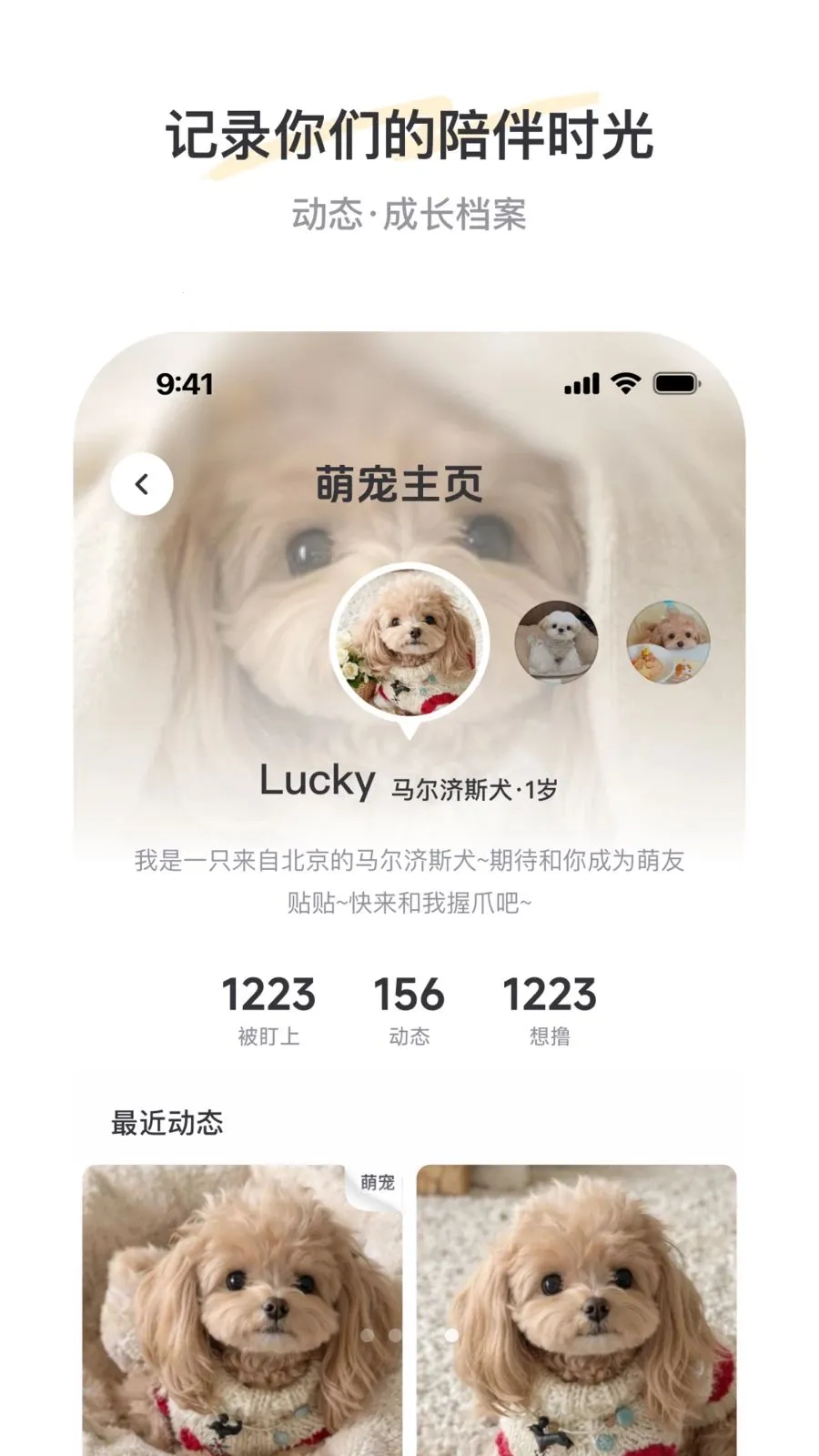 PetSpace�����ֻ���v1.0 ��Ѱ��ͼ3