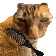 ��è��ë(è����ëС��Ϸ)