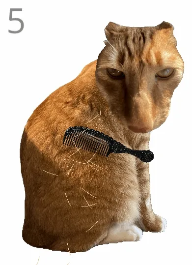 ��è��ë(è����ëС��Ϸ)