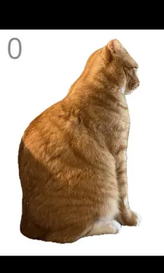 ��è��ë(è����ëС��Ϸ)v1.0 ��׿���ͼ1