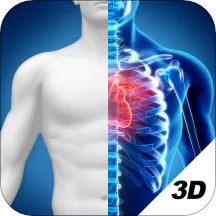 3D�������ͼ��(����ѧϰ����)