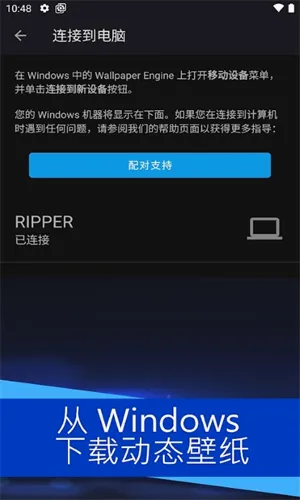 Wallpaper Engine2026���°汾v2.8.8 �ٷ������ͼ0