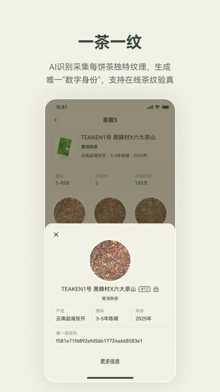 �迴 Teaken2026�ٷ����°汾v1.1.5 �ٷ������ͼ0