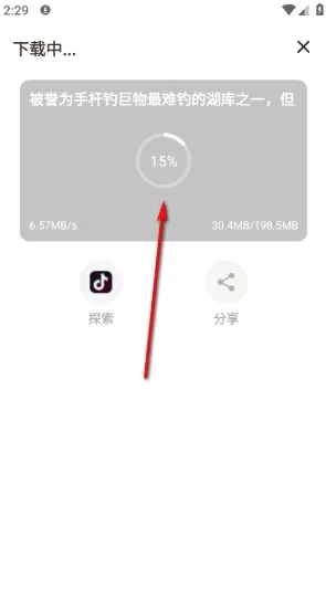 Downloader(�ļ����ع���)