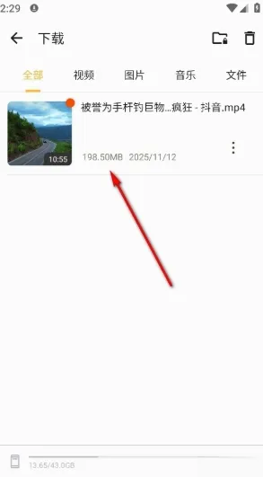 Downloader(�ļ����ع���)