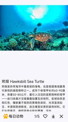 ÿ�ն���(�������APP)v1.0.0 �ֻ����ͼ0
