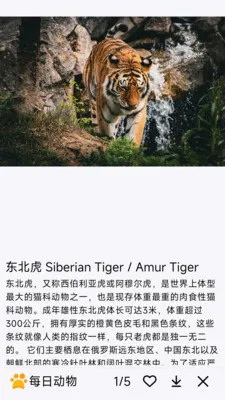 ÿ�ն���(�������APP)v1.0.0 �ֻ����ͼ3
