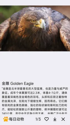ÿ�ն���(�������APP)v1.0.0 �ֻ����ͼ2