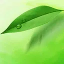 ��ҽִҵҽʦapp�����ֻ���