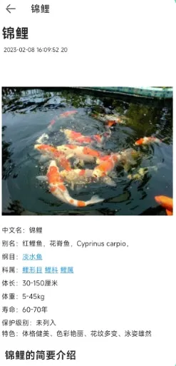 ����ٿư�׿���ֻ���