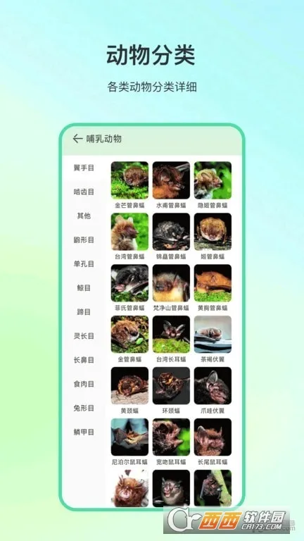 ����ٿư�׿���ֻ���v4.1.7 ��׿���ͼ1