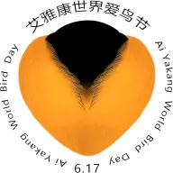 ��������׿���ֻ���