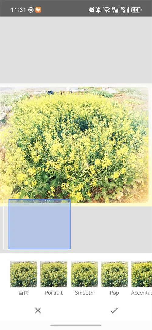 BetterSeed(ͼƬ��ͼ����)v2.22.0.633363672 �ٷ������ͼ0