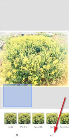 BetterSeed(ͼƬ��ͼ����)