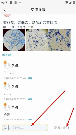 ����ʶ�������ֻ���