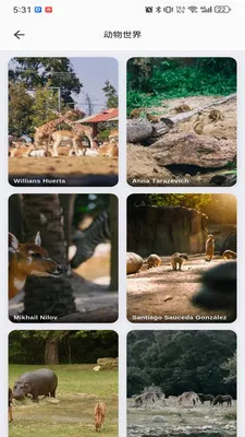 musabay(ά���ֽӰ��app)v1.1.3 ��Ѱ��ͼ2