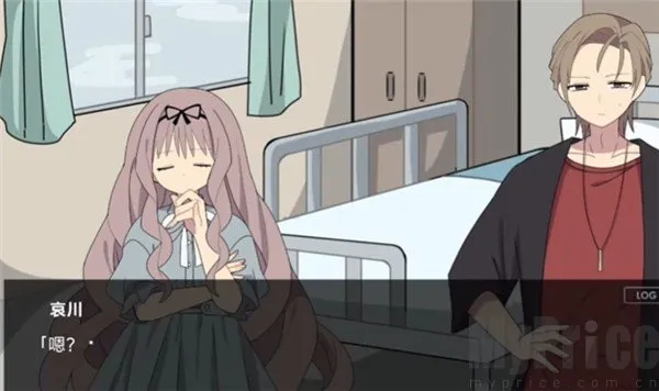 ����2026���°汾