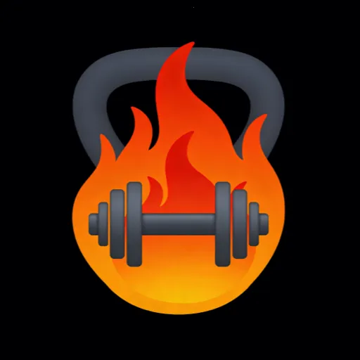 ÿ��ȼ֬�˶���(�ڴ���������)