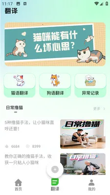 PEPPYCATè��ռ�2026�ٷ����°汾v3.0.0 ��Ѱ��ͼ0