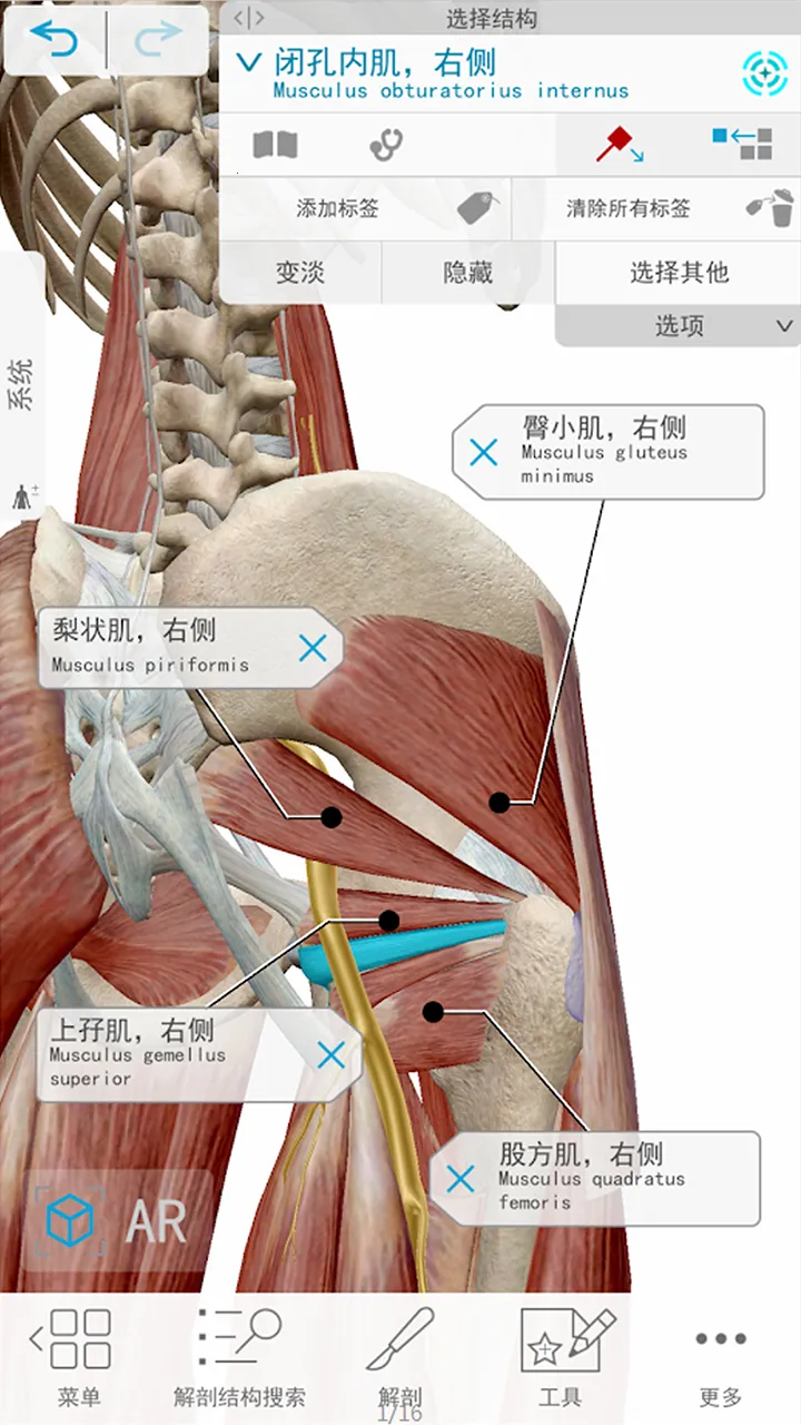������� 3d(����ѧѧϰƽ̨)v1.6 ��Ѱ��ͼ1