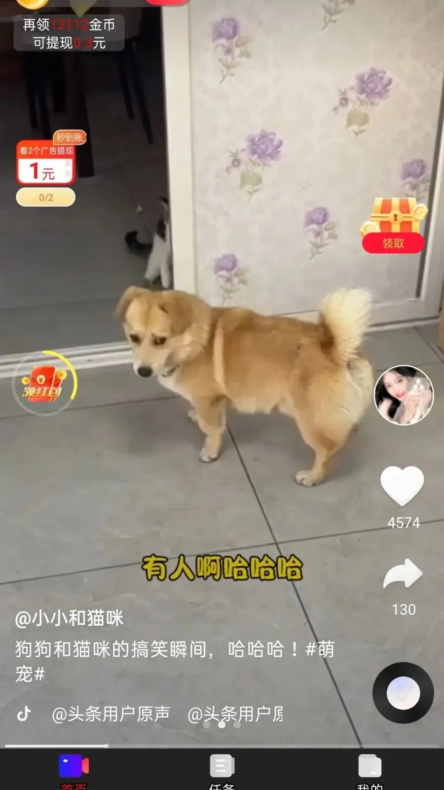 ��ӯ����(ˢ��ƵѰ��׬Ǯ)v1.0.1 �ٷ������ͼ1