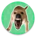 �󹷽�������(��Ч������ť)
