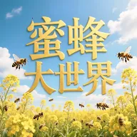 蜜蜂大世界(产品展示电商)