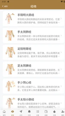 Ѩλͼ�״�ȫ(����Ѩλ��ѯ)v1.0.8 ��׿���ͼ2