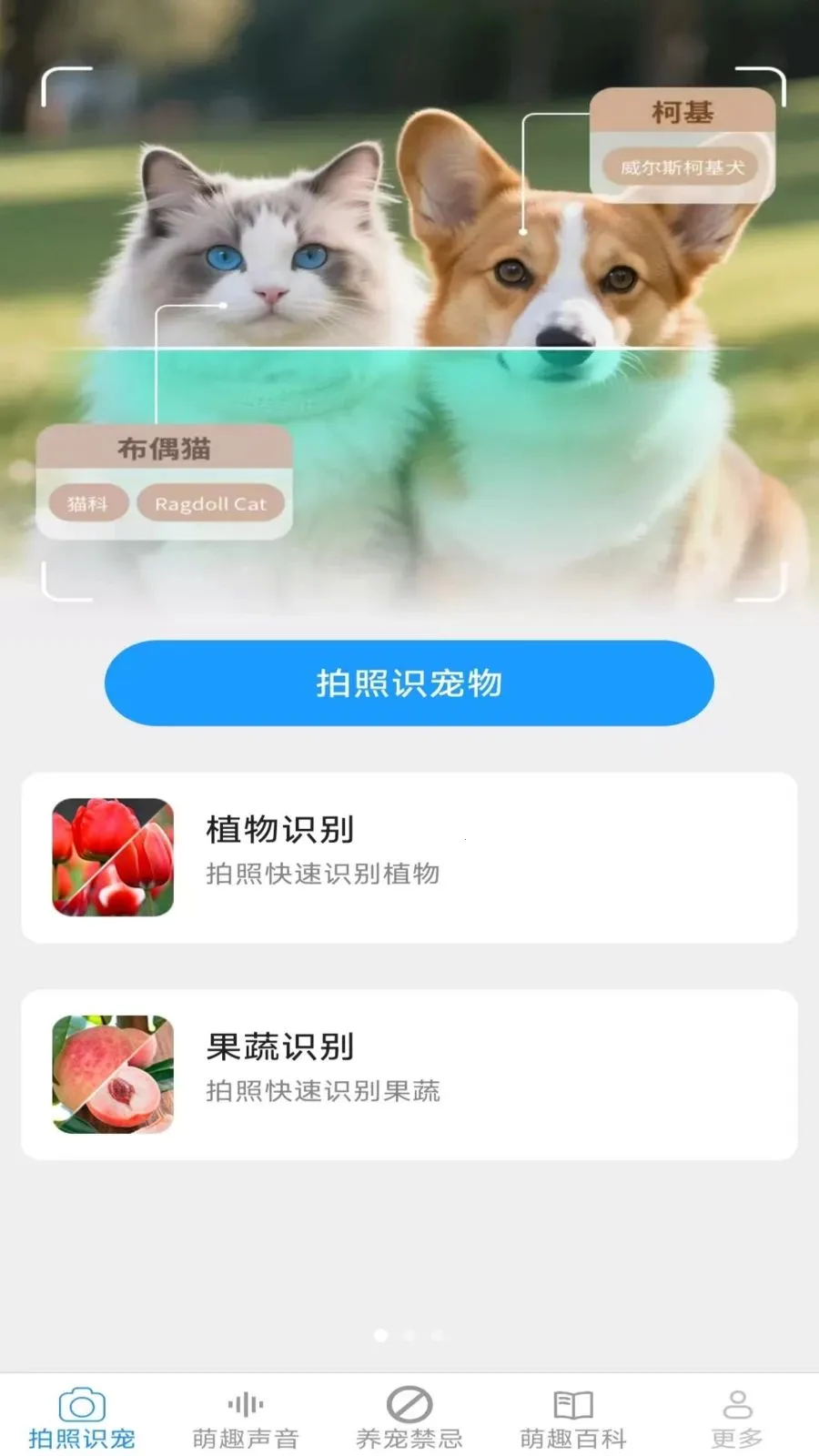 Ԫ������(��������Ӧ��)v2.7.2.2 �ֻ����ͼ2