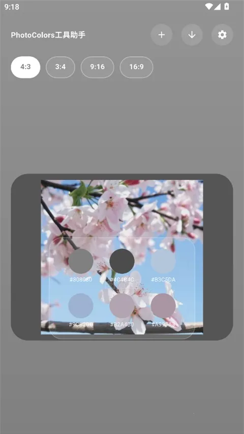 PhotoColors2026官方最新版本 PhotoColors2026官方最新版本