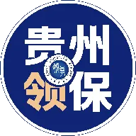 贵州领保(境外领保服务端)