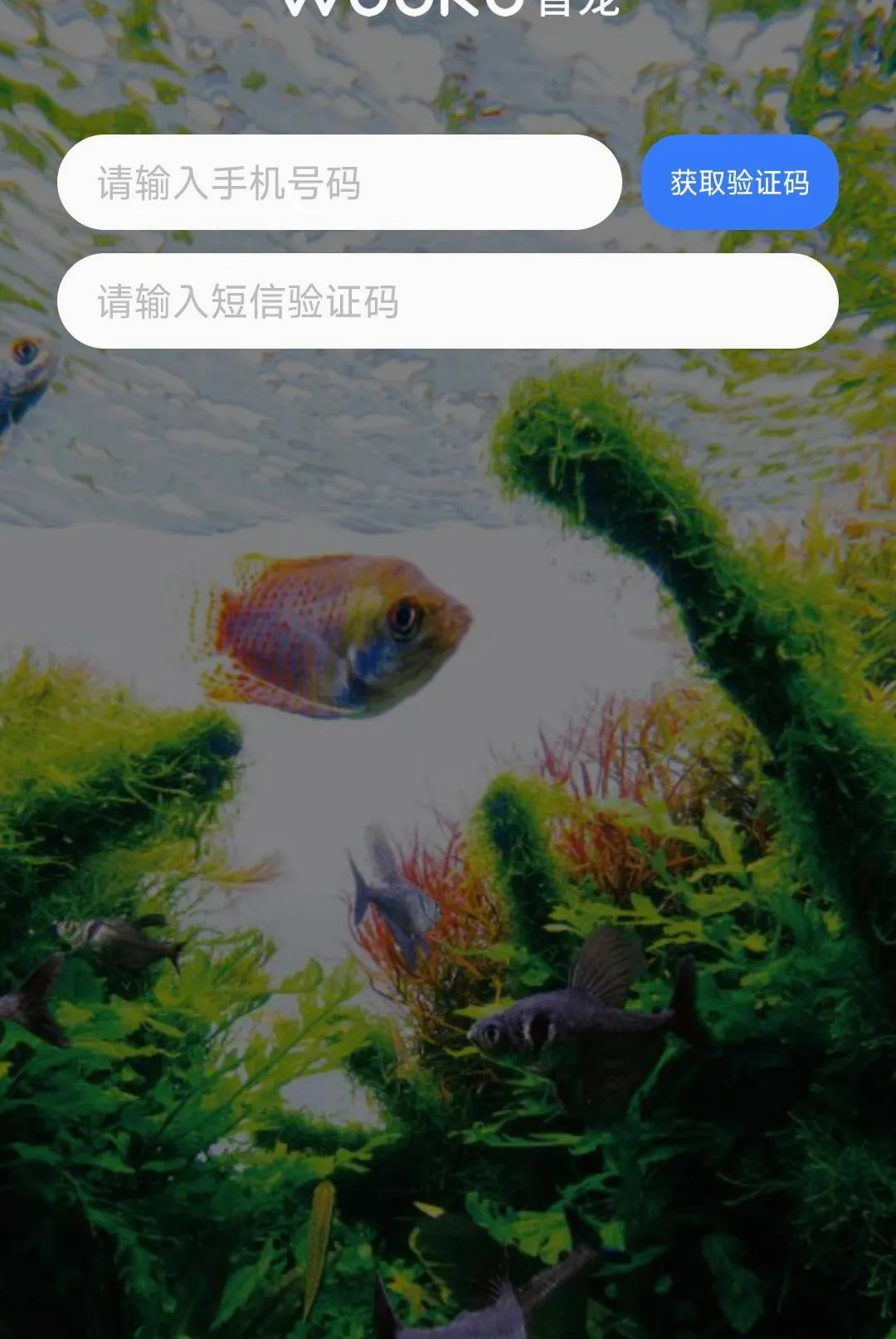 WOOKU�ǳ�(����ˮ��Ʒ��)v1.0.29 ��Ѱ��ͼ3