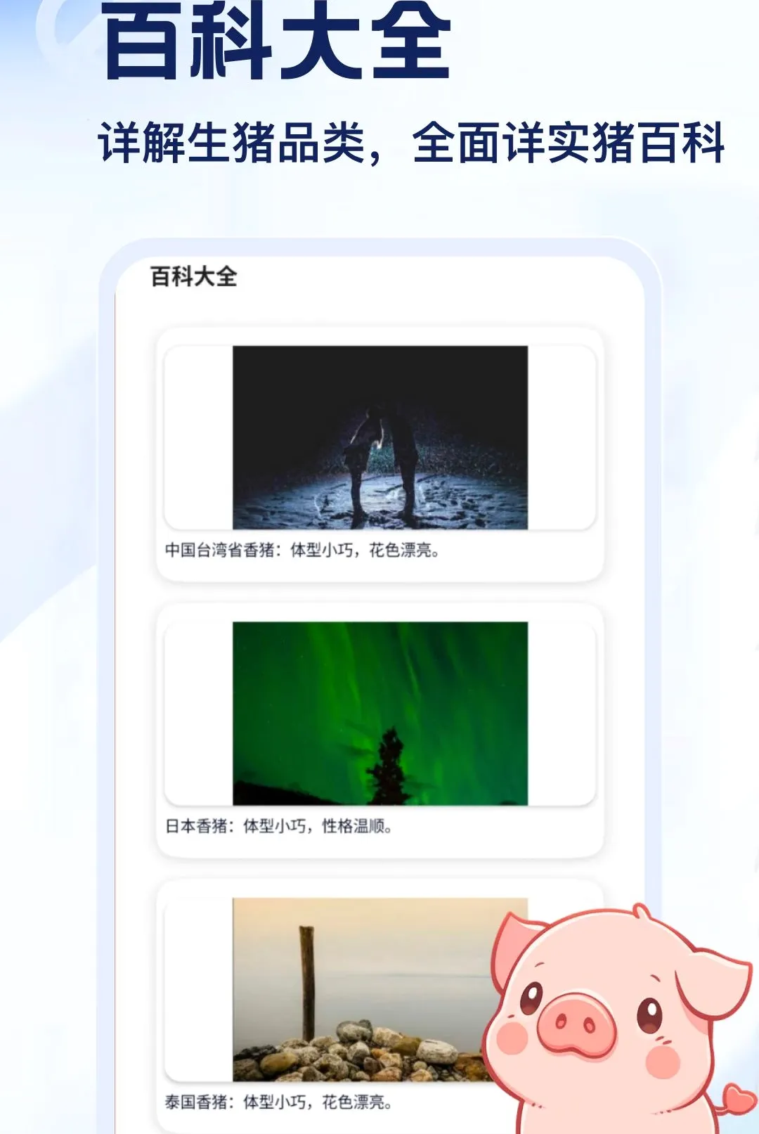����APP(С������app)v5.2 ��Ѱ��ͼ3
