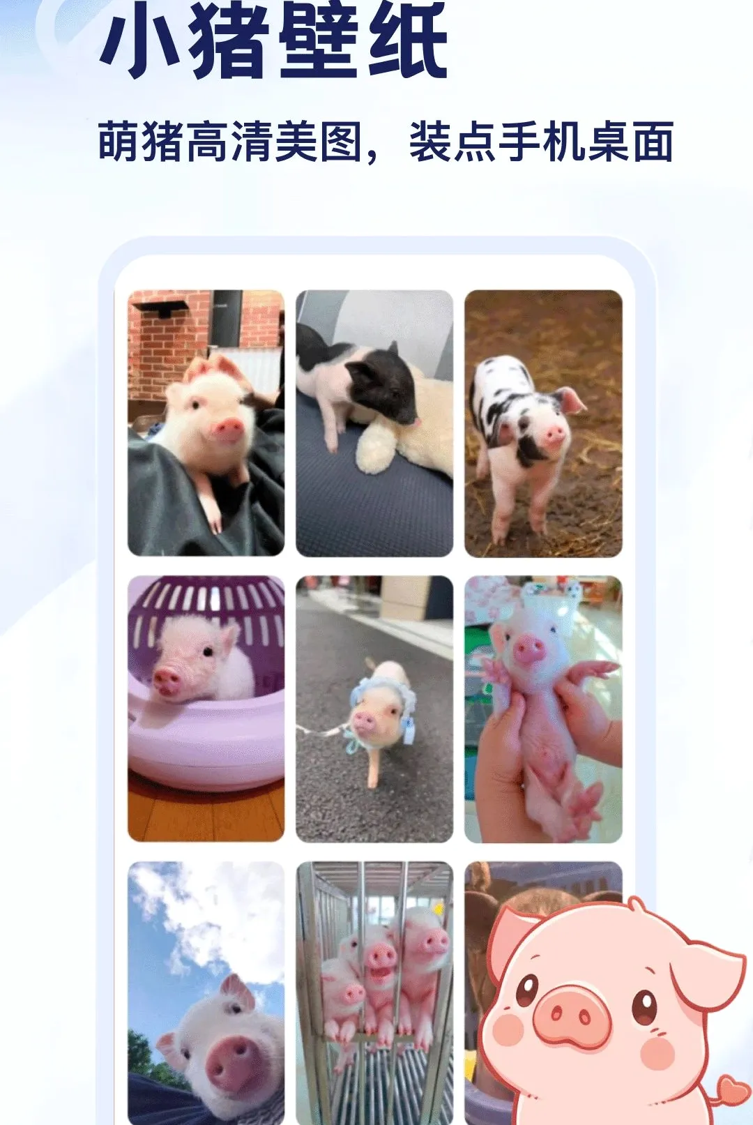 ����APP(С������app)v5.2 ��Ѱ��ͼ2
